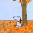 위례리본정형외과의원 이미지