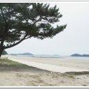 장삼포해수욕장 이미지