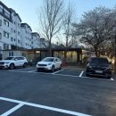 고양 한우 돼지한마리 | 일산 애니골맛집 으뜸가애니골 풍동 한우 추천