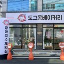 도그몽 베이커리 이미지