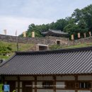 공주 가볼만한곳 공산성 입장료 고마열차 수문병교대식