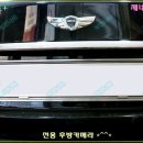 트립플러스