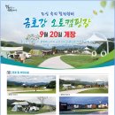 금호강 오토캠핑장 이미지