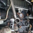 돼지카센터 이미지