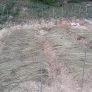 깍꼬뽁꼬 이미지