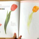 세밀화 보타니컬아트 이미지