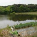 주생면 낙동마을 이미지