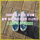 1021 | [nike]메쉬 소재에 가죽 오버레이를 적용 한 2000년대 감성 나이키 런닝화 W P-6000 BV1021-010 + 임용승