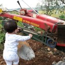 방가네농장 이미지