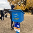 원주굽이길 18코스 반계리은행나무길 이미지