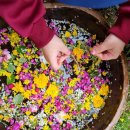 선암어린이집 이미지