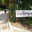 솔숲산 Daum카페