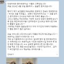 사월의 그루밍 이미지