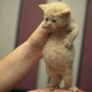 서해산부인과의원 이미지