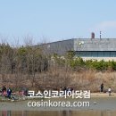 오션프로젝트