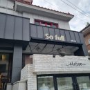 창원 용호동 가로수길 쏘풀