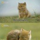 일상약국 이미지