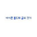 볼드체 이미지
