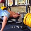 라이브벤치