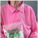 드림재가복지센터 이미지