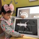 수민동물병원 이미지