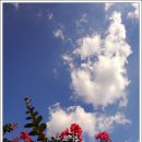 농부의 정원 이미지