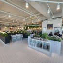 봄담아 평내호평점 이미지