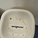 고양이 사료 퓨리나 원 캣 챌린지 3주 차 중 2주 차 후기(왕감자주의)