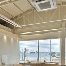 베릴키키 이미지