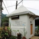 정미보리밥 이미지