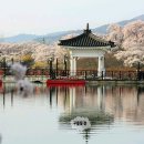 흥무로1(가운데) 이미지