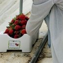 늘픔농장 이미지