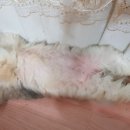 잠솔 이미지