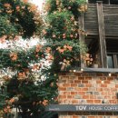 토브하우스커피3 이미지