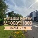 선흘1212 네이버블로그