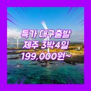 동양관광여행사 | 대구 제주 패키지 여행 여행사 / 대구공항 / 대구_특가_제주도_3박4일 #관광패키지 #석조