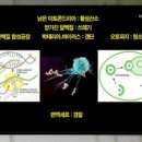 Autophagy 활성화를 위한 스위치! 이미지