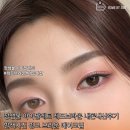 브라운블라썸 | 정샘물 아이팔레트 레드브라운 내돈내산후기 발색사진 핑크 브라운 메이크업