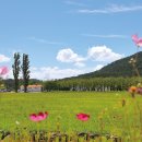 시온고등학교 이미지