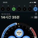 앨리스인뉴욕 이미지