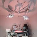 백동물의료센터 이미지