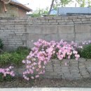 노와2리마을회관 이미지