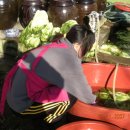 잔비어스 이미지