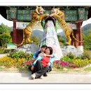 김형섭 2011년 10월 1일 군서산악회 영광 불감산 산행 이미지