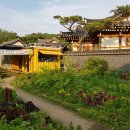 수원시 권선구 텃밭 수원시민신문