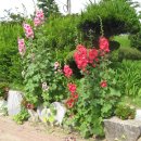 낙동강변로 이미지