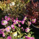 동녁공원 이미지