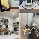 윤은채 재활 한방 동물병원 | 부산동물병원에서 반려동물의 행복한 삶을 위한 치료를!