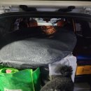 장사해수욕장 | 영덕 장사 해수욕장 캠핑 다녀온 후기글!