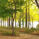 강천농장 이미지